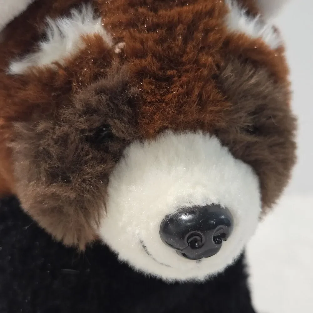 Teddy Mountain 